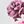 White Pink Floral