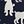 Navy Dogs