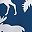 Blue Gray Shark