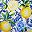Fruit Watermelon Lemon