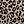 Brown Leopard