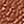 Black Apricot Brown