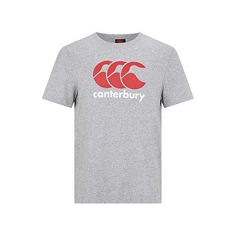 Canterbury Mens Large Logo T-Shirt