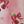 Red Cherry