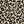 Brown Leopard