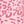 Pink Leopard