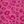 Leopard Hot Pink