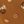 Brown Teddy