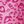 Black Pink Leopard