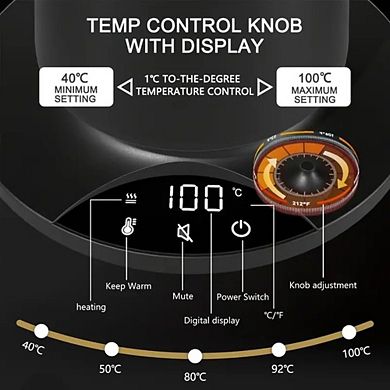 Precise Temperature Control Gooseneck Electric Kettle 0.9L Stainless Steel for Coffee Tea