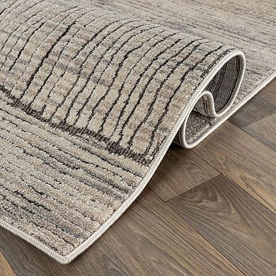 Textured High-Low Indoor Area Rug, Neutral Design, Jute Backing, Entryway Rug, Easy-Care