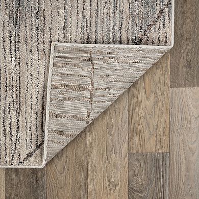 Textured High-Low Indoor Area Rug, Neutral Design, Jute Backing, Entryway Rug, Easy-Care