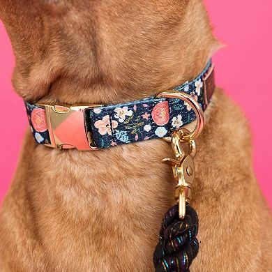Riley Dog Collar