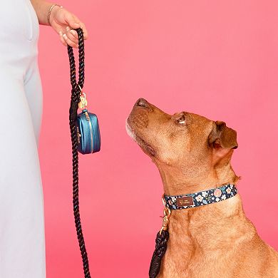 Riley Dog Collar