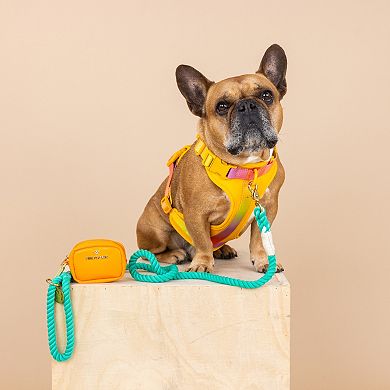 Kenna Dog Harness
