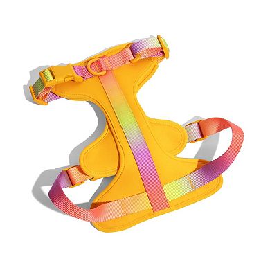 Kenna Dog Harness