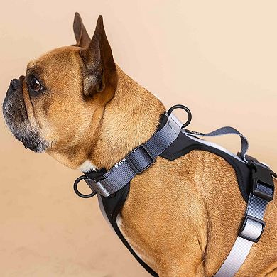 Rowan Dog Harness