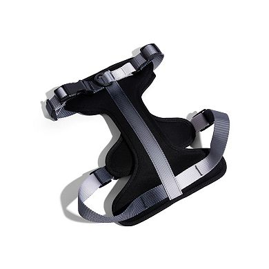 Rowan Dog Harness