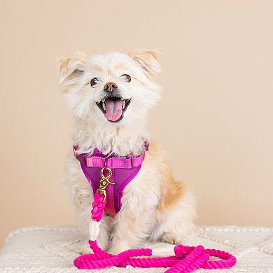 Joanna Dog Harness