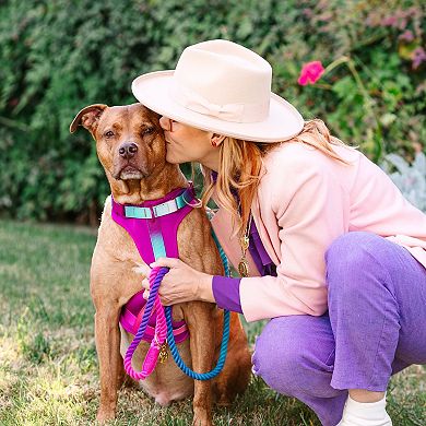 Joanna Dog Harness