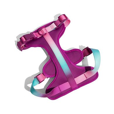 Joanna Dog Harness