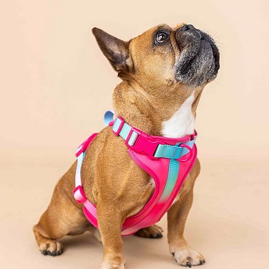 Stasia Dog Harness