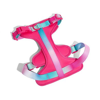 Stasia Dog Harness