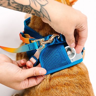 Atlas Cat Harness and Leash Set