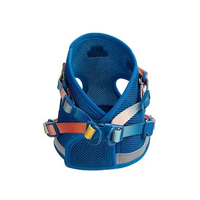 Atlas Cat Harness and Leash Set