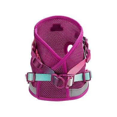 Joana Cat Harness and Leash Set