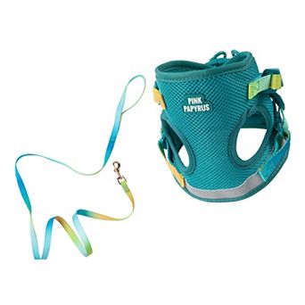 Joey Cat Harness and Leash Set