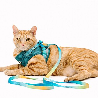 Joey Cat Harness and Leash Set