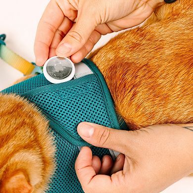 Joey Cat Harness and Leash Set