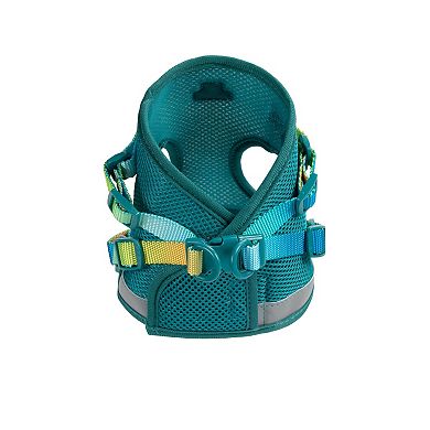 Joey Cat Harness and Leash Set