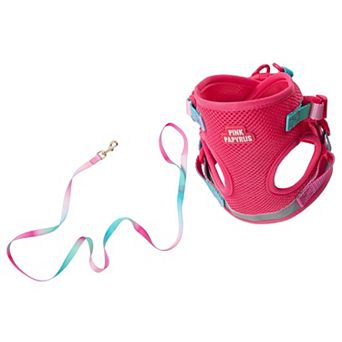 Stasia Cat Harness and Leash Set