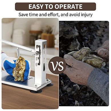 Stainless steel oyster shucker, with 5-position height adjustment