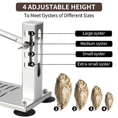 Stainless steel oyster shucker, with 5-position height adjustment