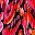 Red Floral