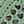 Pea Green