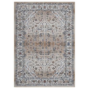 ANIXOL Washable Area Rug, Vintage Persian Print, Non-Slip, Foldable, for Living Room, Bedroom
