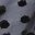 Black Dot