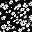 Black Flower