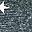Grey Star Black