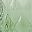 Green Transparent