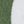 Cabana Khaki Green