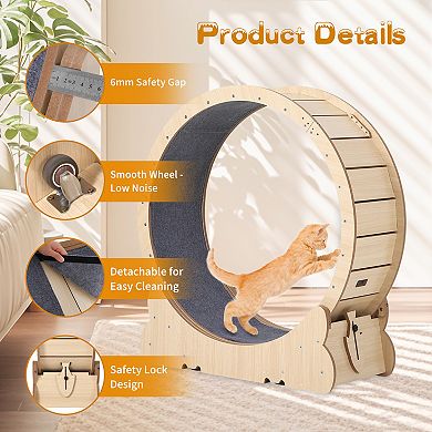 Silent Running Treadmill for Indoor Cats - Detachable Carpet, Safety Lock