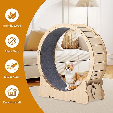 Silent Running Treadmill for Indoor Cats - Detachable Carpet, Safety Lock