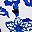 Blue White Floral