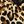Leopard Print