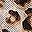 Leopard Print